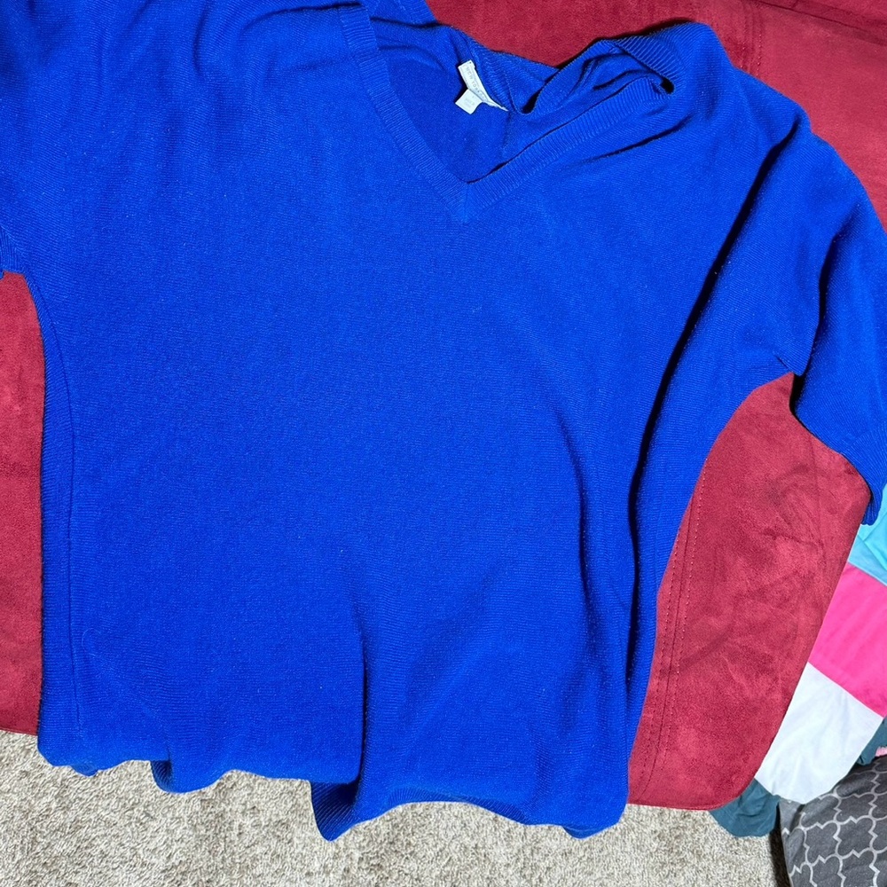 Blue New York and Company Sweater